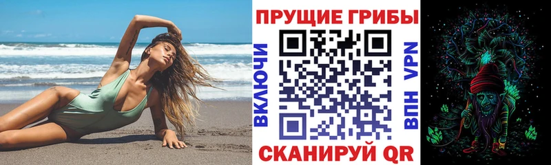 Купить закладки  Фрязино  Псилоцибиновые грибы мицелий 